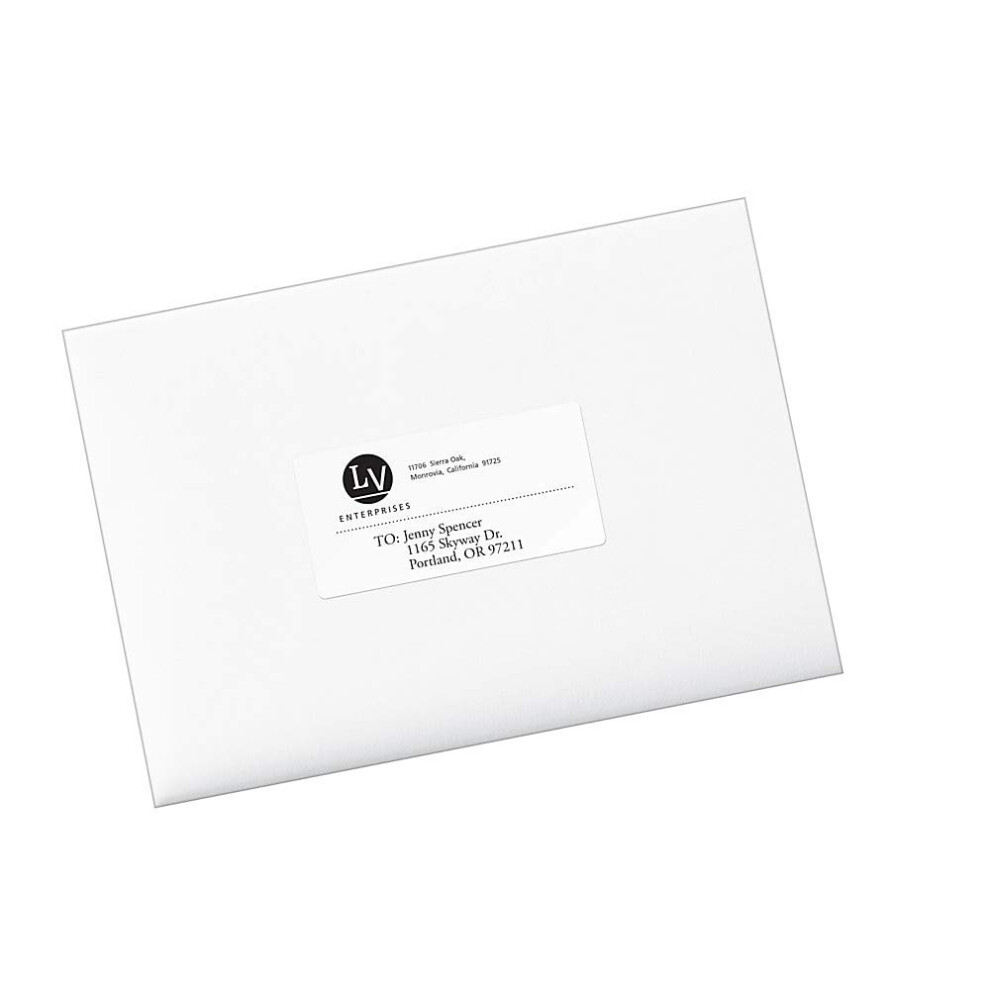 AVE48263 - Etichetta Postale Avery