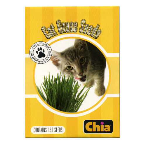 Chia, 6 Τεμάχια, Αναγκαία Χλωρίδα Γάτας Snoozing Kitty, Σπόροι Γάτας, Πακέτο 6