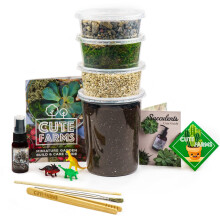 St grdar Terrrarium Starter Kit | Moss vermiculite jordstenar Plantera matbehandlingsverktyg Bygg och vrdguide | DIY Succulent Terrarium Kit f