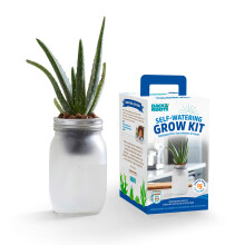 Tillbaka till Roots Self Watering Grow Kit - Glass Hydroponic Planters fr suckulenter och kaktusvrdssystem