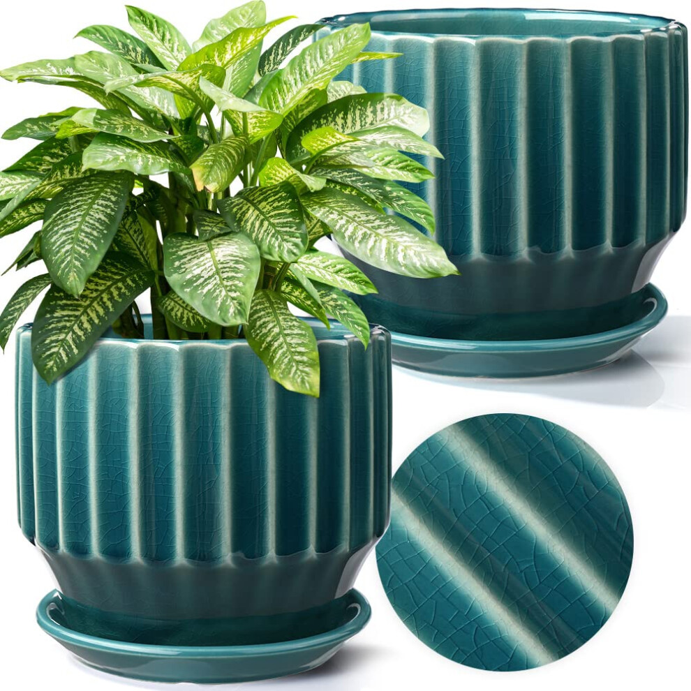 AISBUGUR Lot de 2 pots de fleurs en céramique de 15,2 cm pour plantes d'intérieur Motif craquelé unique avec drain