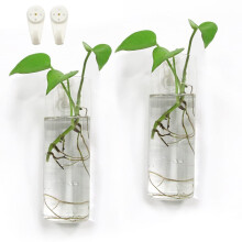 Jardinieres murales Bunhut pour plantes interieures murales suspendues en terrarium Planteurs muraux en verre pour arrangement floral Porte-plant