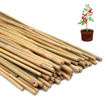 POLIUMB 50PCS Estacas de Bambu de 40cm, Suporte para Plantas de Interior e Exterior