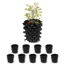 RootRemmer 1 galon vase de taiere a aerului pentru gradini de plastic pentru gradina de legume din gradina cu fructe de auto-plantare (10) Negru