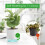Conjunto de 4 Vasos Autoirrigantes, Vasos de 4.3+5.5 Polegadas para Plantas de Interior 4