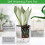 Conjunto de 4 Vasos Autoirrigantes, Vasos de 4.3+5.5 Polegadas para Plantas de Interior 3