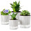 Conjunto de 4 Vasos Autoirrigantes, Vasos de 4.3+5.5 Polegadas para Plantas de Interior 1