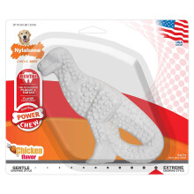 Nylabone Dura Chew Origineel Smaakvol Tandheelkundig Dinosaurus Kauwspeeltje Dinosaurus Stijl Varieert