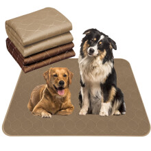 Paw Legend Wasbare herbruikbare hondenplaspads Superabsorberend (2-pack) - Wasbare herbruikbare puppytrainingpads | Kwalitatieve reisplaspads voo