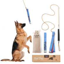 Chasing Tails Flirt Pole for Dogs Heavy Duty - 26 Inch with 30 Inch Rope and Two Toys for All Breeds - Spring Pole for Dogs Dog Flirt Pole for Large