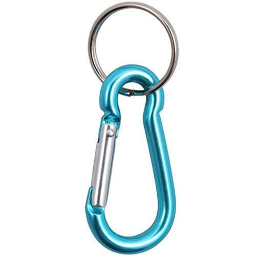 Baumgartens Key Ring  Small  Assorted
