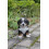Statue de chiot bouvier bernois Hi-Line Gift Ltd 2