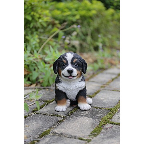 Statue de chiot bouvier bernois Hi-Line Gift Ltd 2