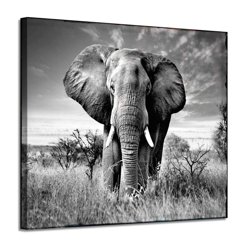 ARTISTIC PATH Canvas Wall Art Elephant Picture: African Animals Graphic Artwork Painting Print for Wall Decor (16 W x 11 H Multi Size)