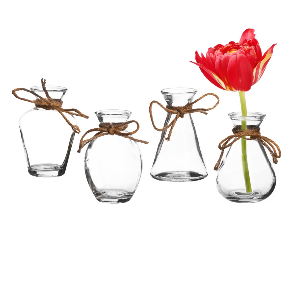 Royal Imports Clear Glass Bottle Bud Vase, Small Single Stem Flower Centerpiece, Mini Decorative Floral Jars, Rustic Farmhouse Home Decor, Kitchen, F