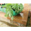 Tierra Garden GP184 Colander Trug 5