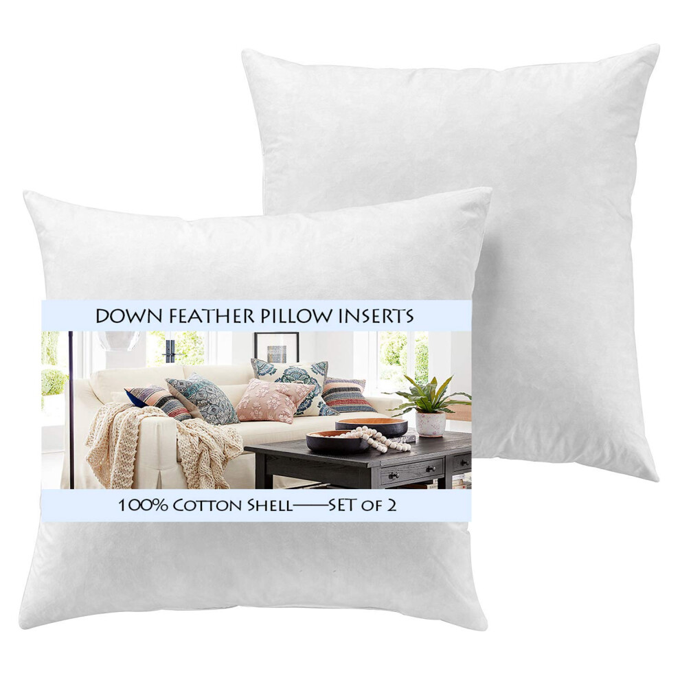 Yesterdayhome Lot de 2 coussins décoratifs en duvet et plumes 24 x 24 cm Blanc