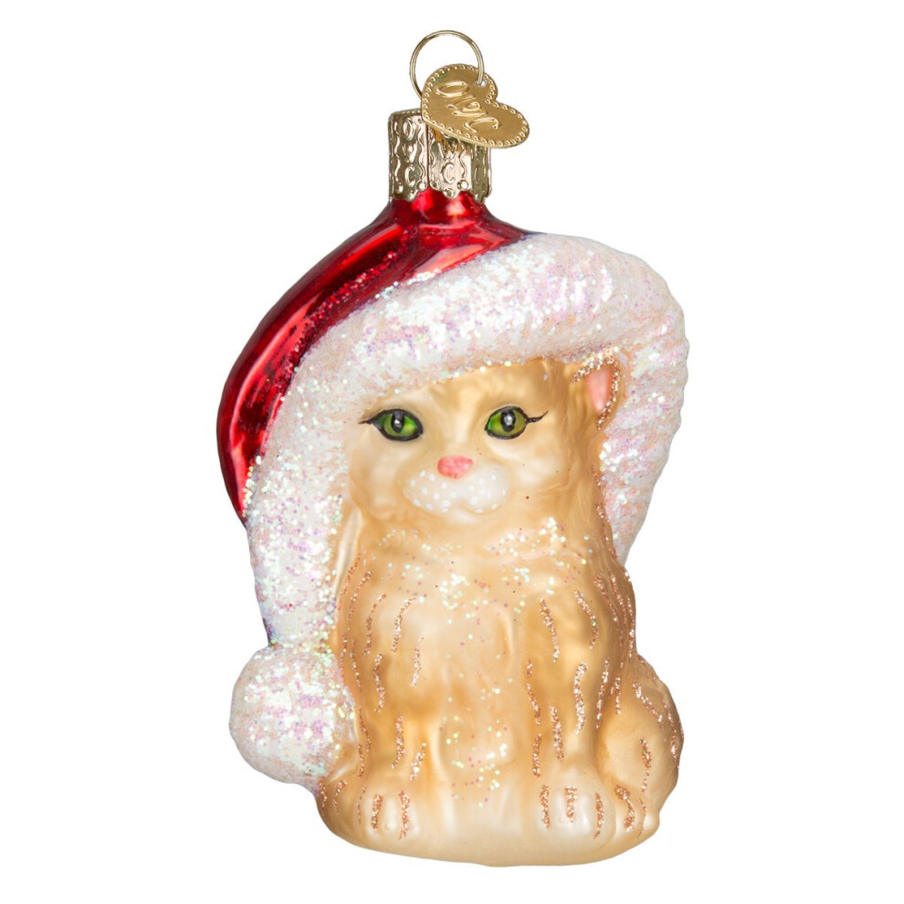 Oude Wereld Kerst Kerstman Kitten Glasgeblazen Ornamenten Voor Kerstboom-image