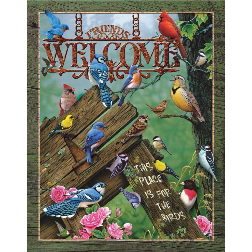 Desperate Enterprises Welcome - This Place is for The Birds - Plaque en m   tal vintage nostalgique - Fabriqu   e aux    tats-Unis