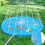Buntes aufblasbares Splash -Pad mit delphinsthema 4