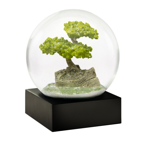 CoolSnowGlobes Μπάο Σνογκόλμπ