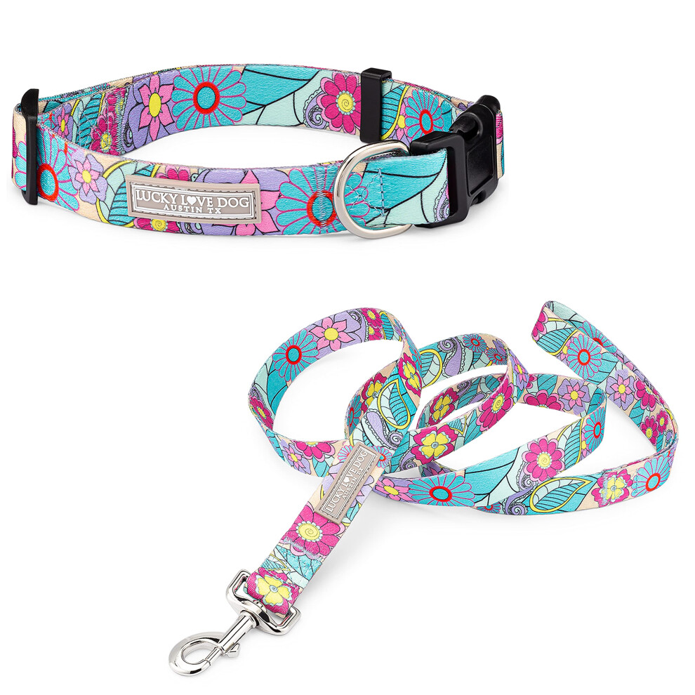 Ensemble collier et laisse pour chien Lucky Love, joli ensemble collier et laisse pour S