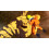 Bandai NARUTO X BORUTO Ultimate Ninja STORM CONNECTIONS - NSW 5