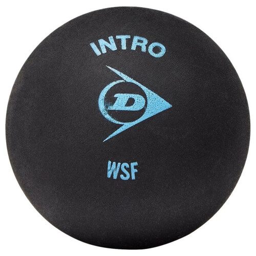 Dunlop Dunlop DA50032 Intro Squashbal 1-pack