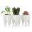 Tooth Shape White Ceramic Flower Pot Modern Design Planter Teeth Model Mini Desktop Pot Gift 11