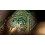Theory11 Limited Edition Green Tycoon Play 3
