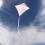 In the Breeze 3325 - Κοκοφοίνικας 30 ιντσών Διαμαντένιο Κεραυνό - Στερεό Λευκό 3