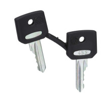 Set Of Keys Replacement 22Mm