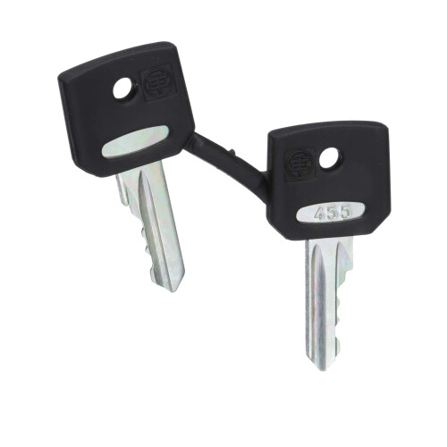 Set Of Keys Replacement 22Mm