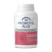 Dorwest Probiotic Plus For Dogs For Optimal Gut Health 200 Capsules