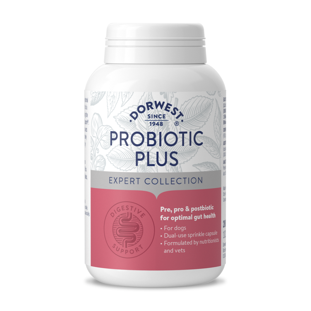 Dorwest Herbs Dorwest Probiotic Plus For Dogs For Optimal Gut Health 200 Capsules - Image 3