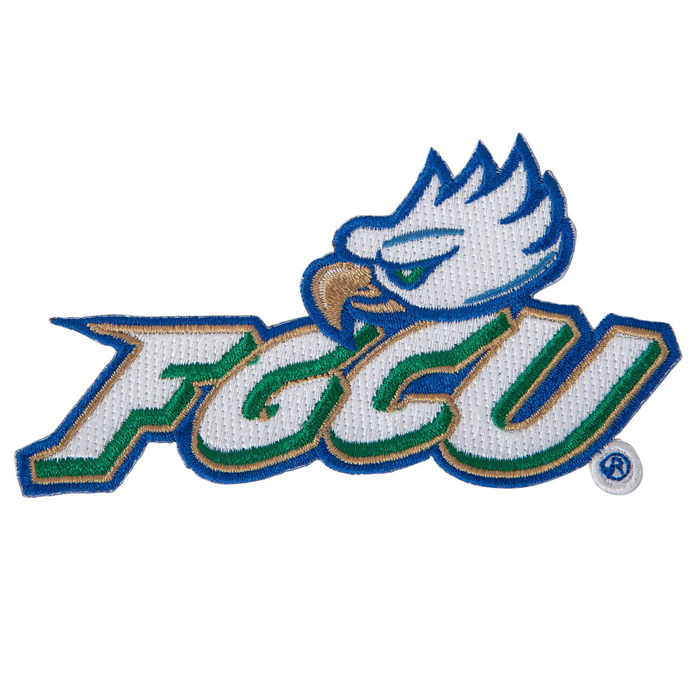 Patch Brodé Desert Cactus Florida Gulf Coast University Patch Fgcu Eagles Patchs BrodéS Applique Coudre Ou Repasser Sur Blazer Veste Sac Pat-image