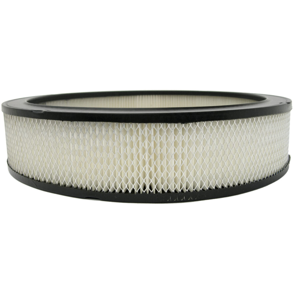 Acdelco Gm Original Equipment A212cw Air Filter 036666115048