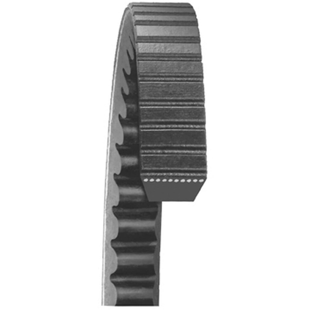 Dayco Auto V-Belt Industry Number 17A1145 038244121151