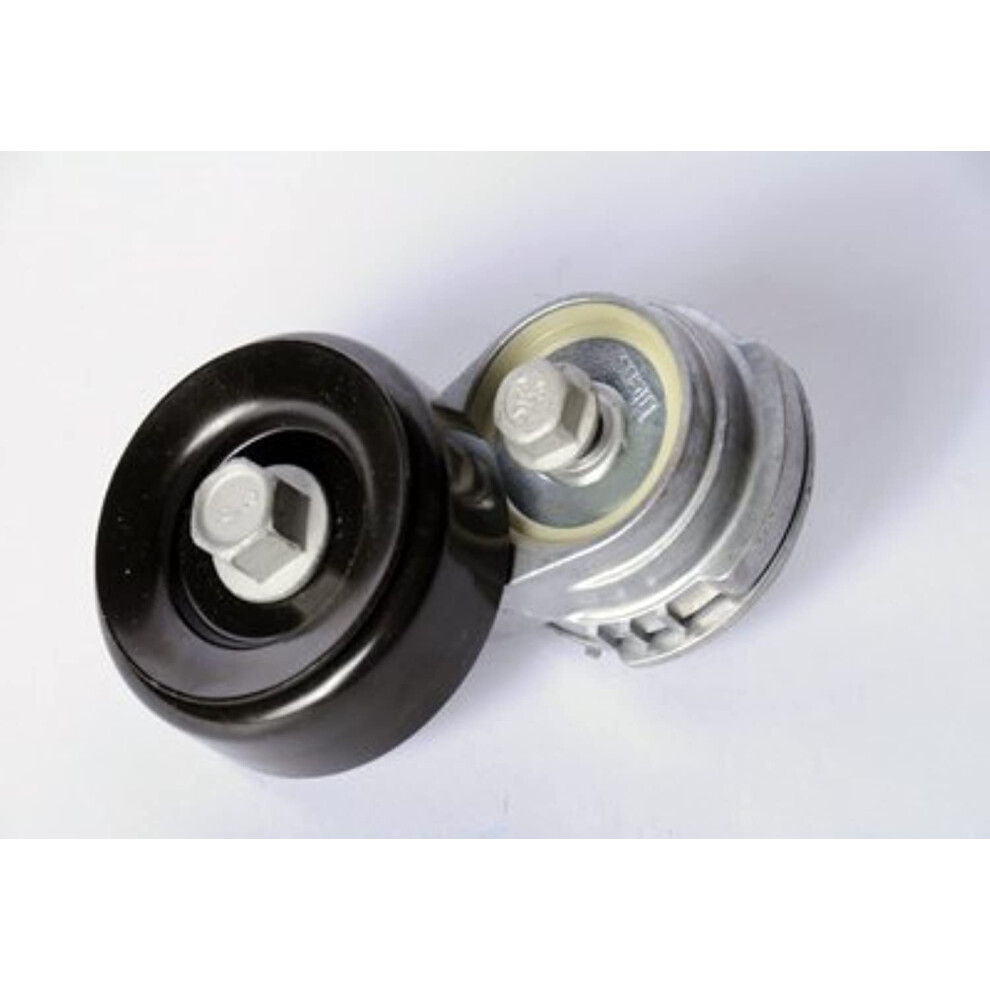 Acdelco Gm Original Equipment 12595289 Air Conditioning Drive Belt Ten 707773947913