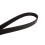 Continental Continental 6PK2449 Μετρική Πολυ V-Ζώνη 2