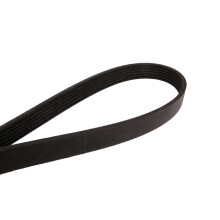 Continental 6PK2449 metrische multi-V-riem