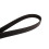 Continental Continental 6PK2449 Μετρική Πολυ V-Ζώνη 1
