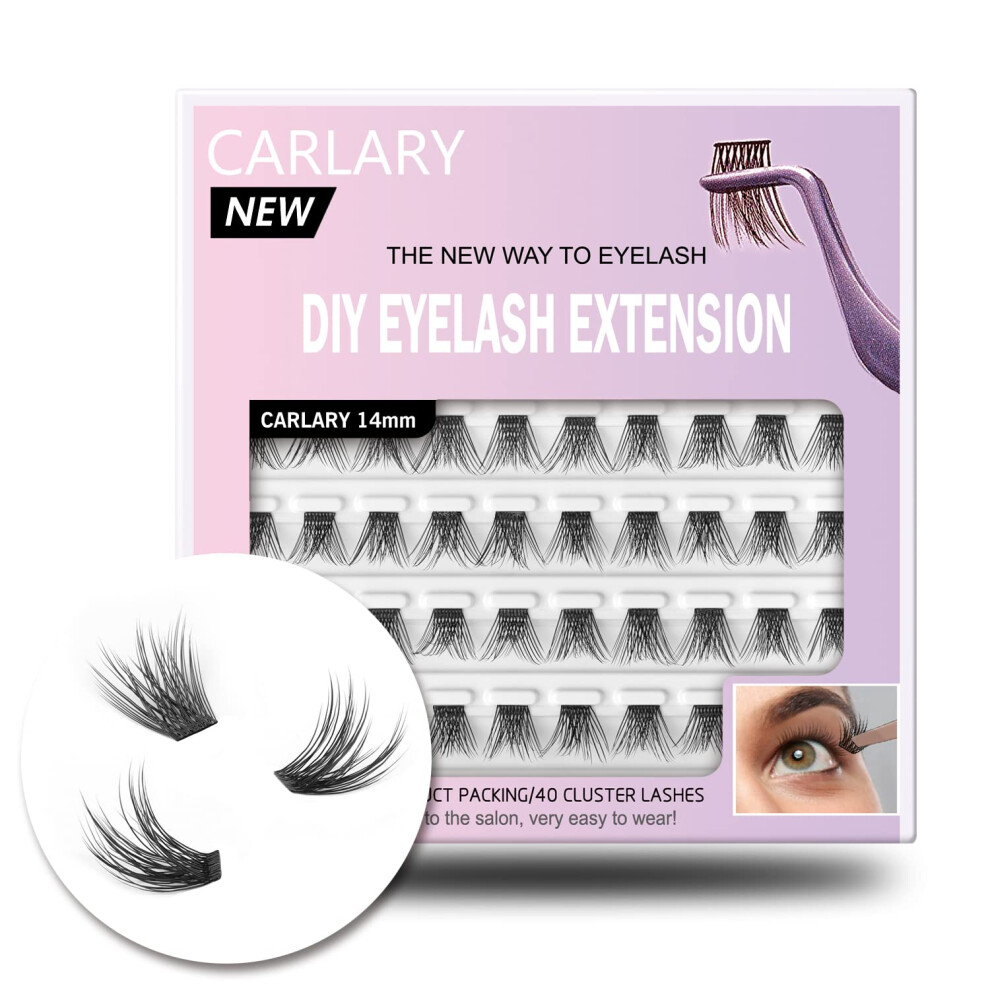 CarLary DIY Eyelash Extension  Individual Lashes  3D Effect Reusable 40 Cluster Lashes  C Curl Fluffy Wispy Individual Eyelash Clusters for