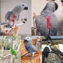 (XS) Parrot Bird Harness Leash Outdoor Flying Traction Straps Band Adjustable Anti-bite Training Rope A