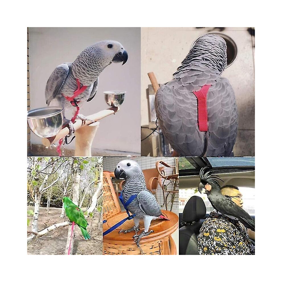 (XS) Parrot Bird Harness Leash Outdoor Flying Traction Straps Band Adjustable Anti-bite Training Rope A