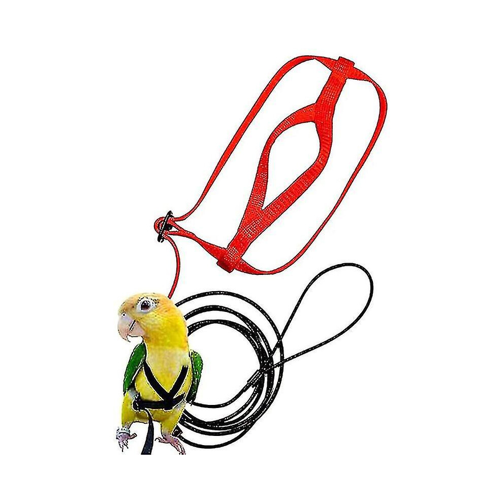 (M) Parrot Bird Harness Leash Outdoor Flying Traction Straps Band Adjustable Anti-bite Training Rope A