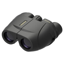 Leupold BX-1 Rogue Fernglas 10x25mm (59225)