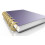 Discagenda Δισκοί Discbound (Χρυσό, 12 Τεμάχια 1.3in) 4