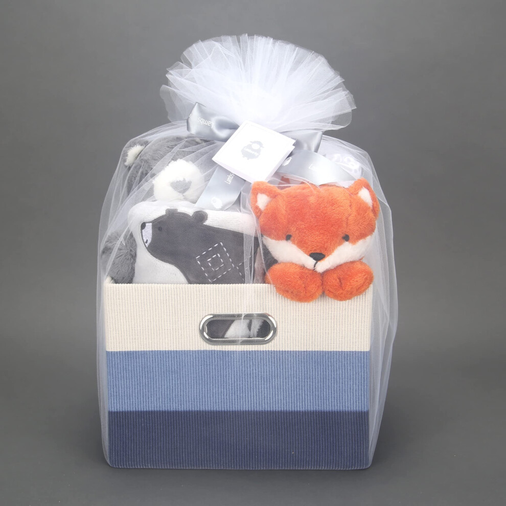 Panier cadeau pour bébé bleu Lambs & Ivy 5 pièces pour baby shower/accueil de nouveau-né