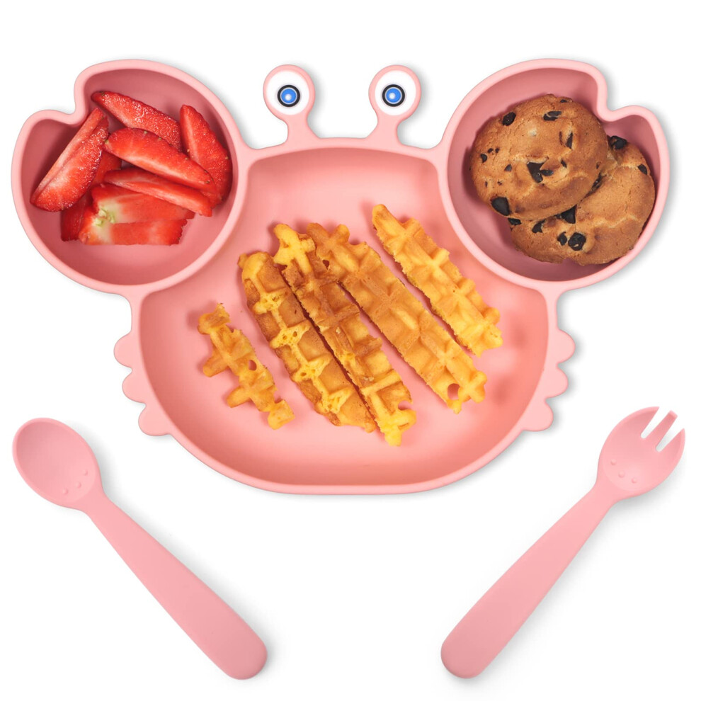 Plaques d'aspiration ROCCED pour bébé Plaques en silicone avec ventouse divisée